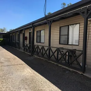 Pit Pony 3* Collinsville